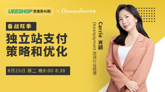 第四十六期-独立站支付策略和优化